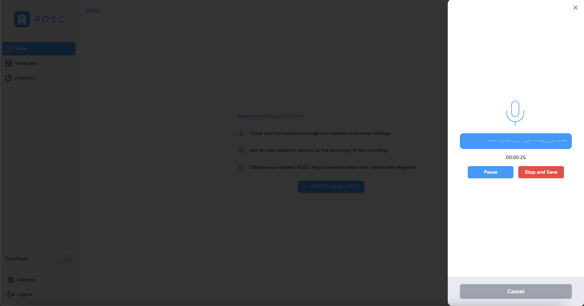 During Recording - Waveform and Timer